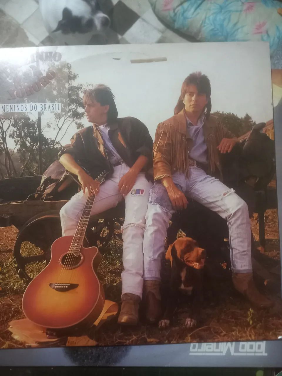 Discos em vinil 435653826535106565