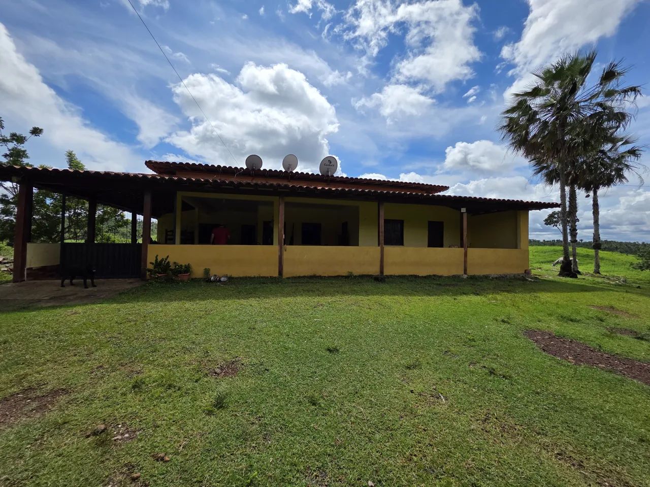 Fazenda - Foto 4