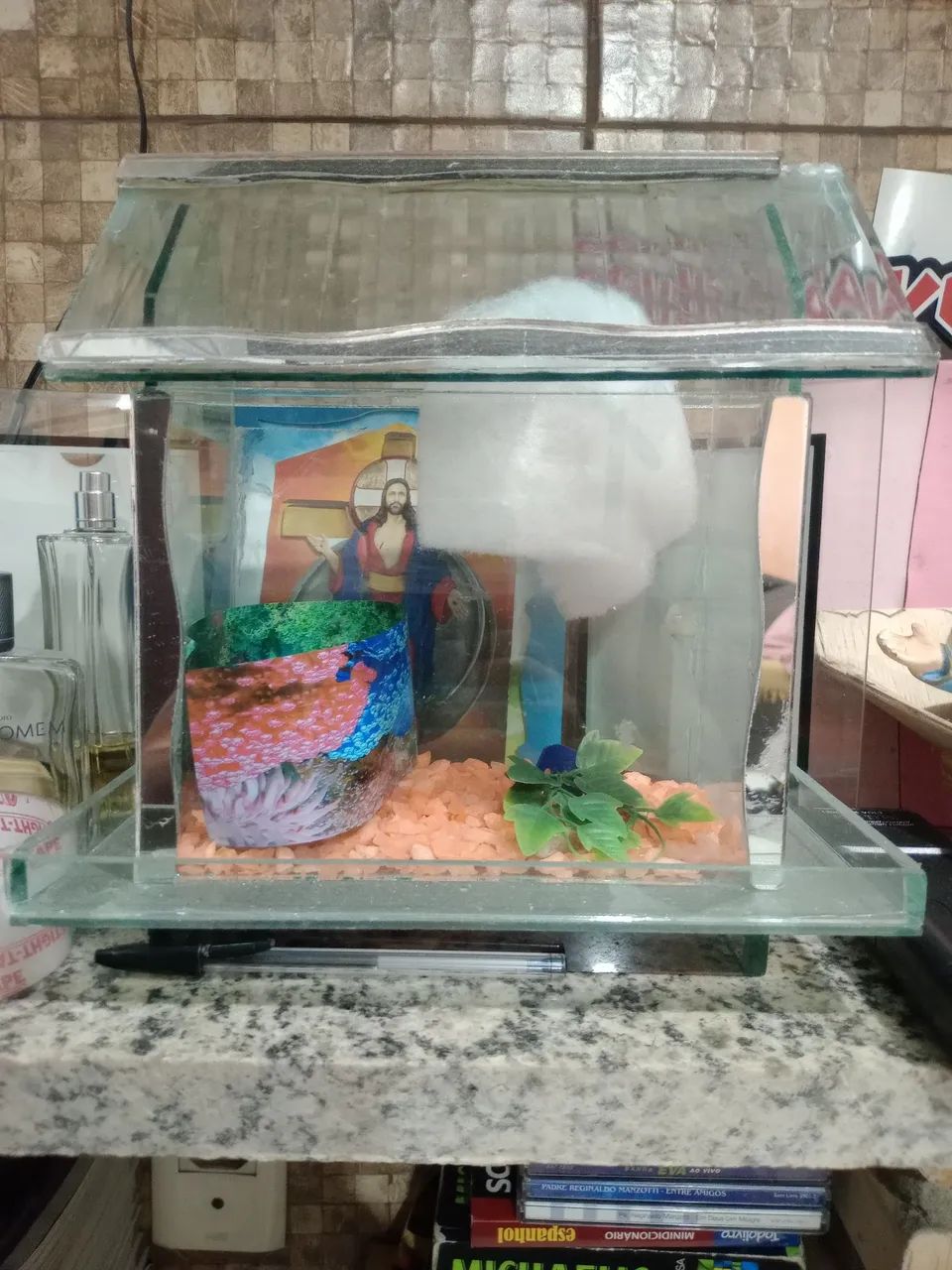 Aquário estilo casinha conservado só 30 reais ZAP * - Foto 2