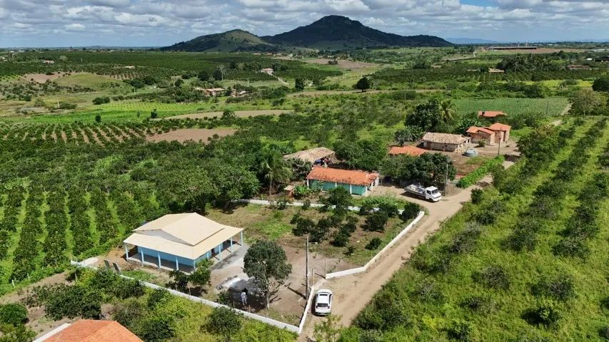 SÍTIO À VENDA  - Foto 2