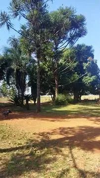 Chácara com casa pronta em Sidrolândia - Foto 3