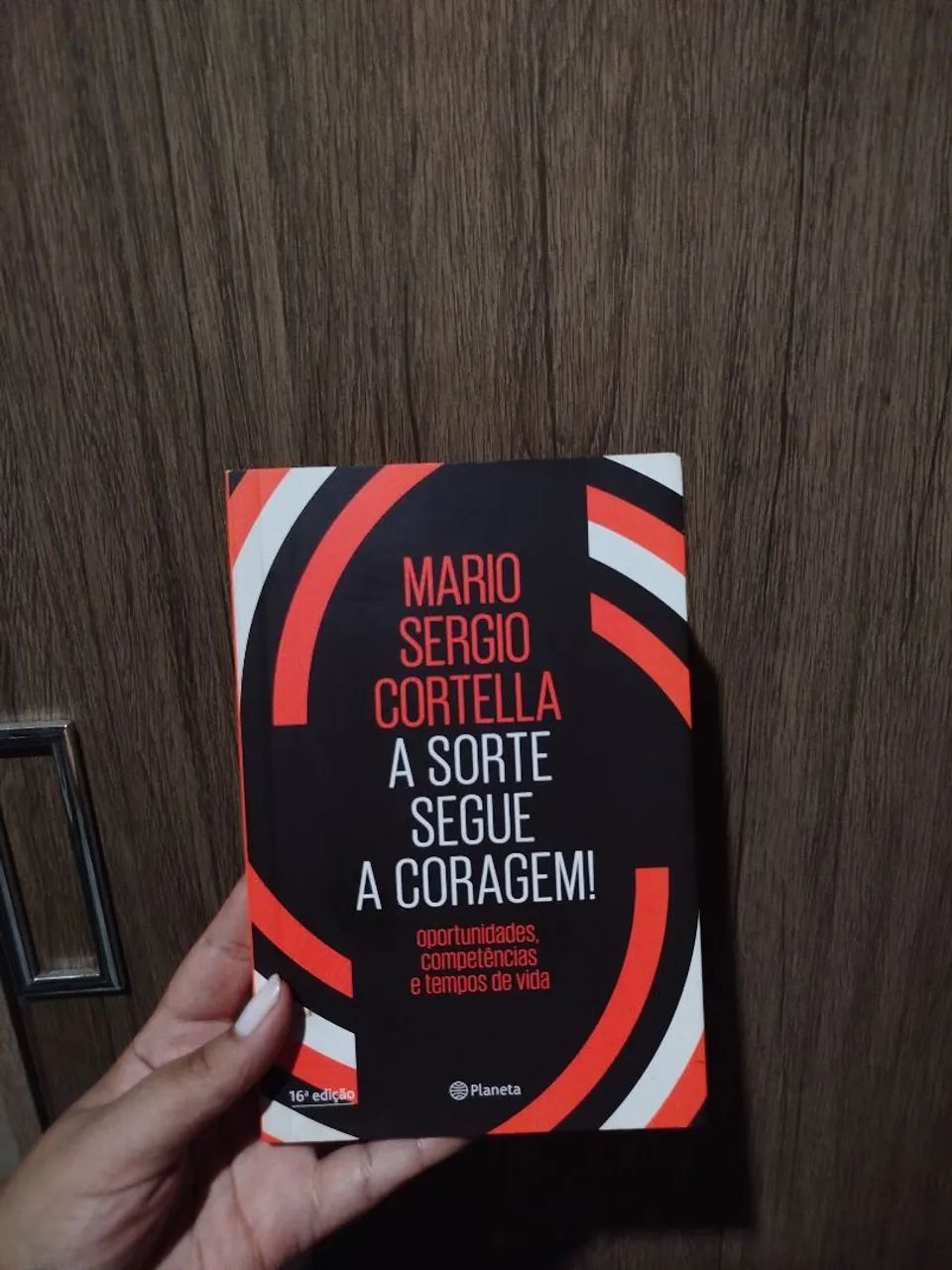 livro a sorte segue a coragem 