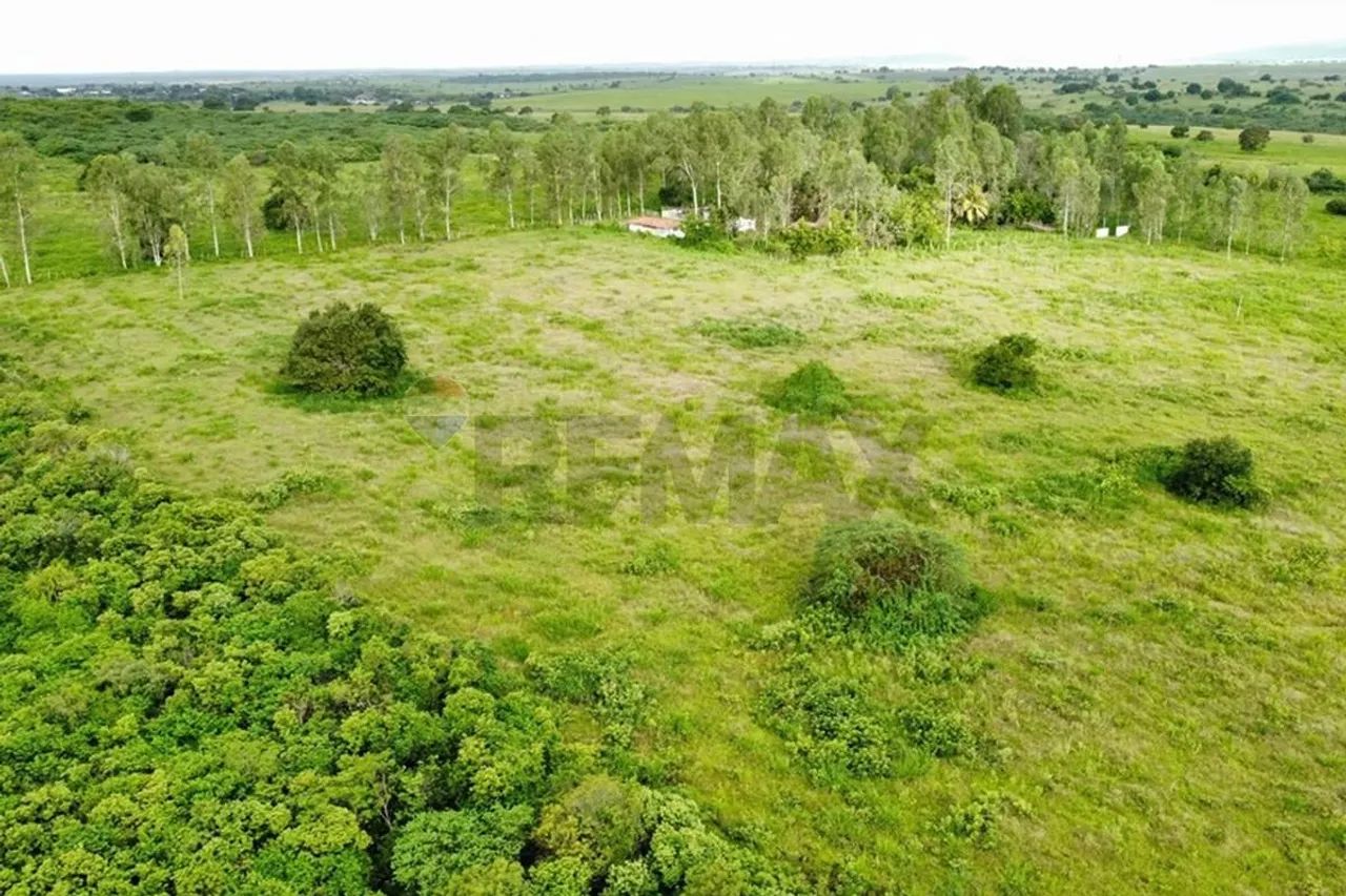Sítio em Itabaiana-PB com 28,5 hectares - Foto 3