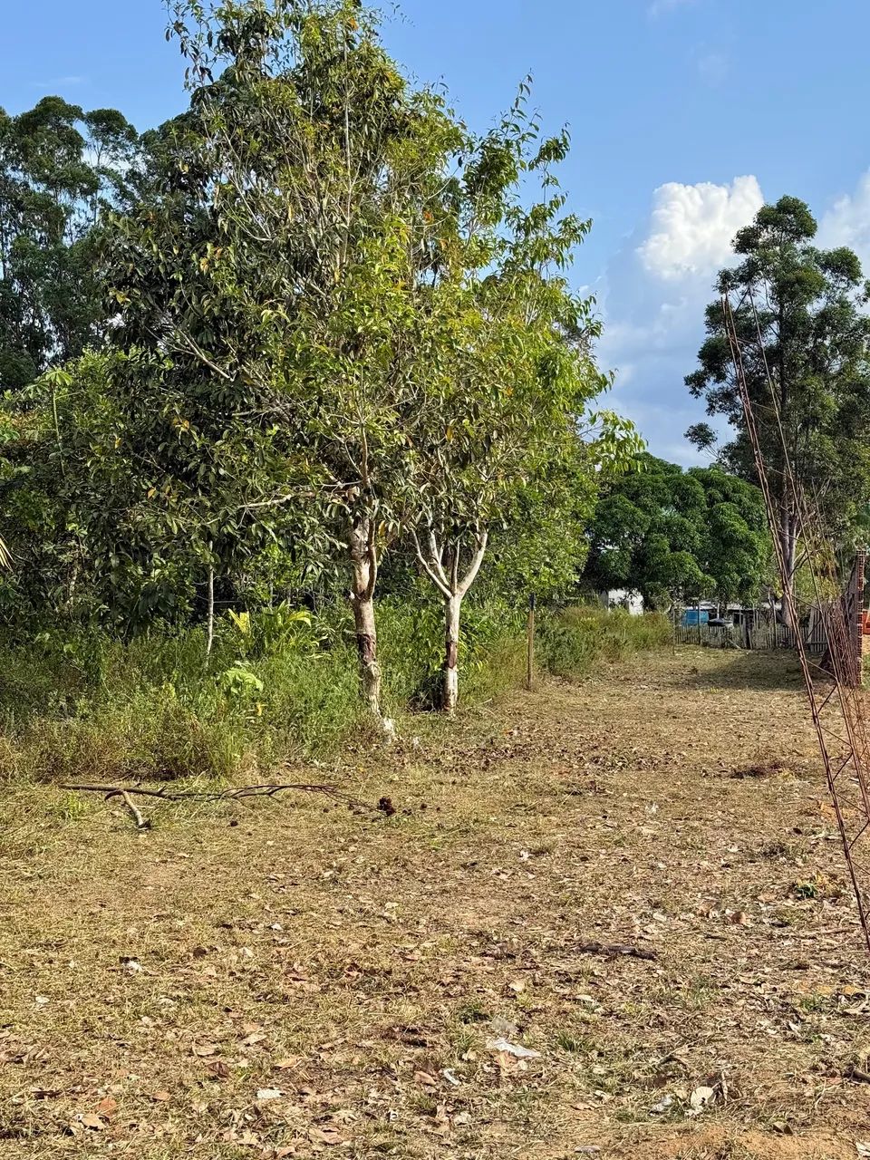 Foto - Macapá - Buritizal