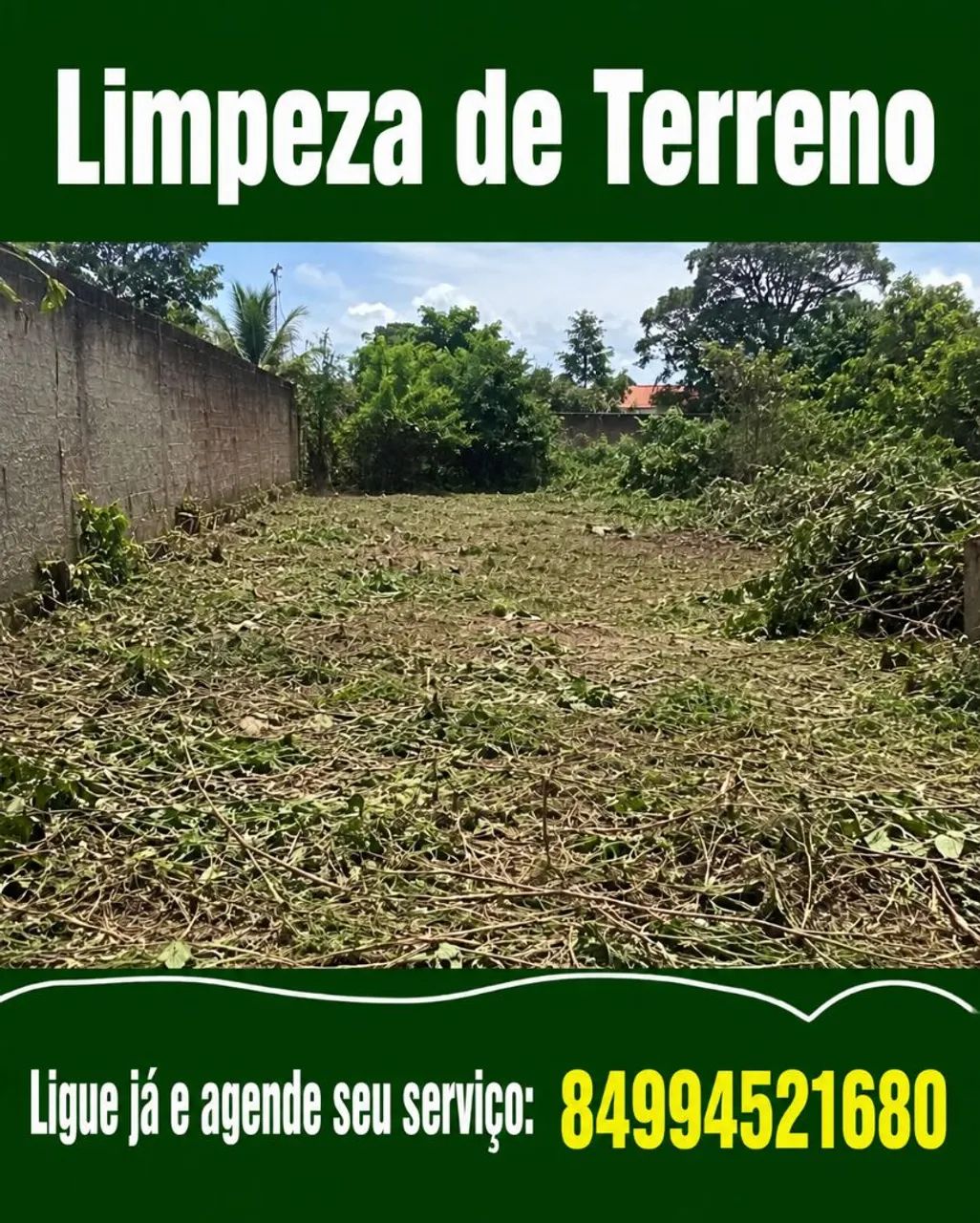 Equipe de limpeza de terreno 