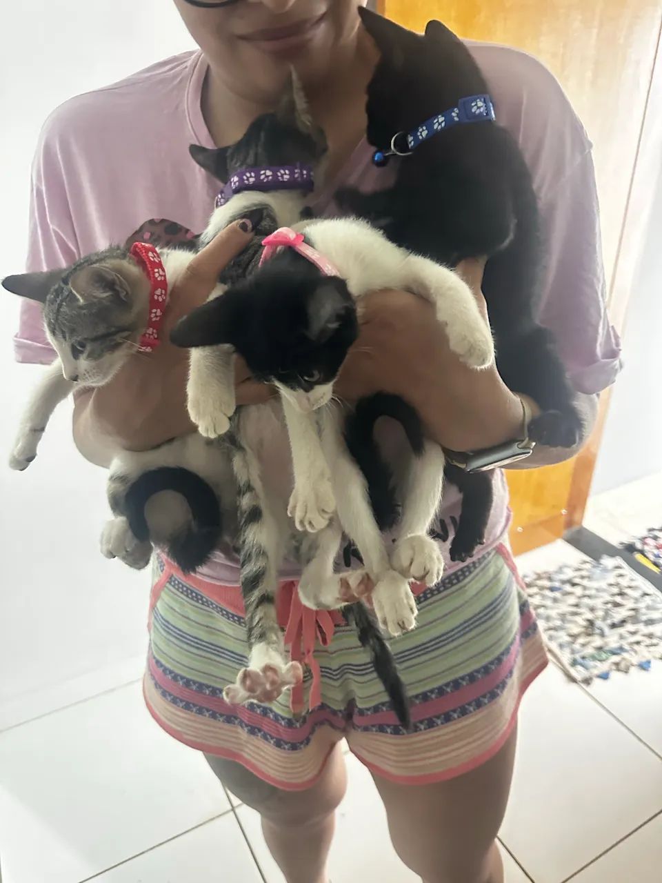 Doação de gatinhos  - Foto 5