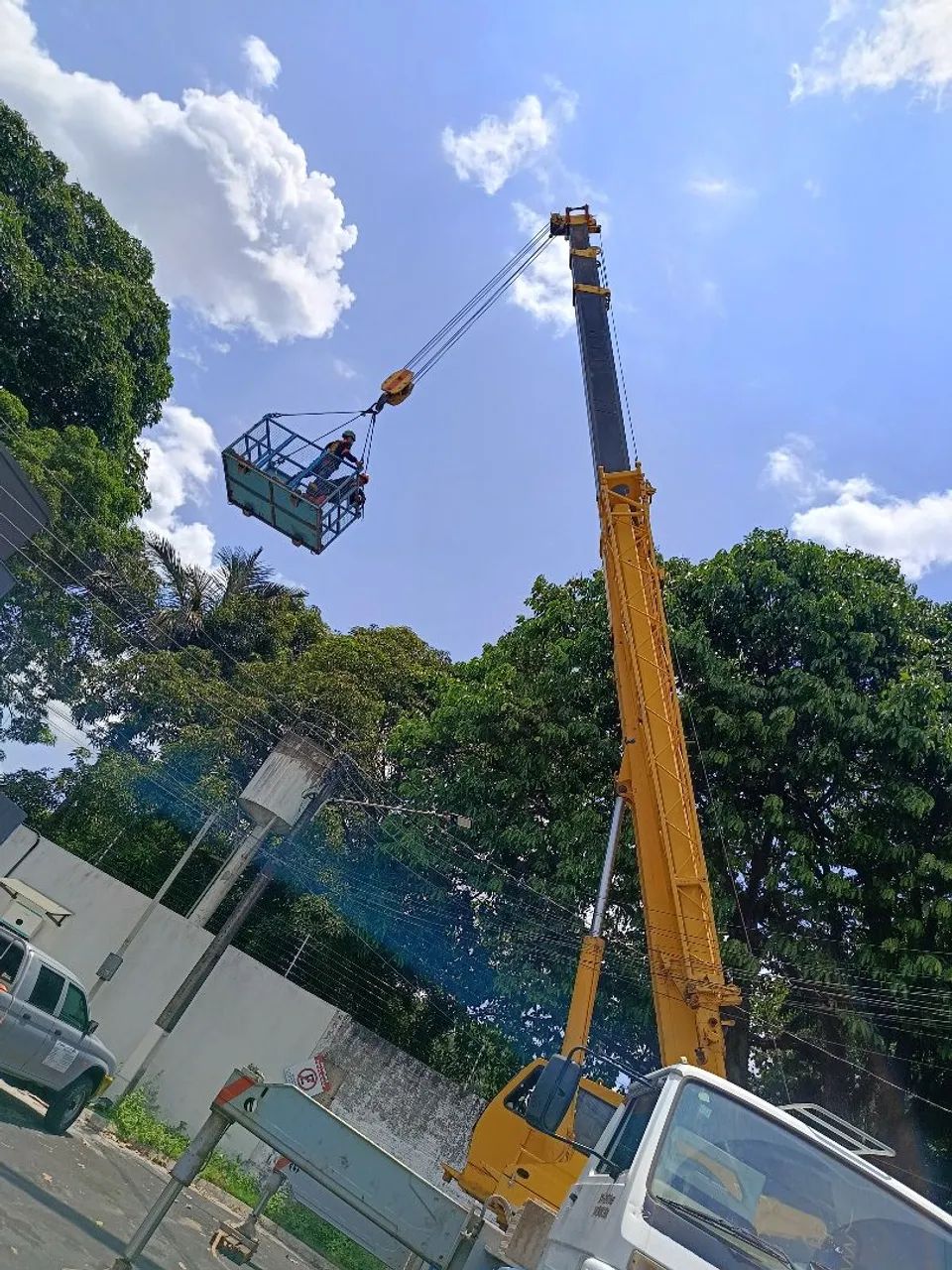 Podas de árvores  - Foto 2