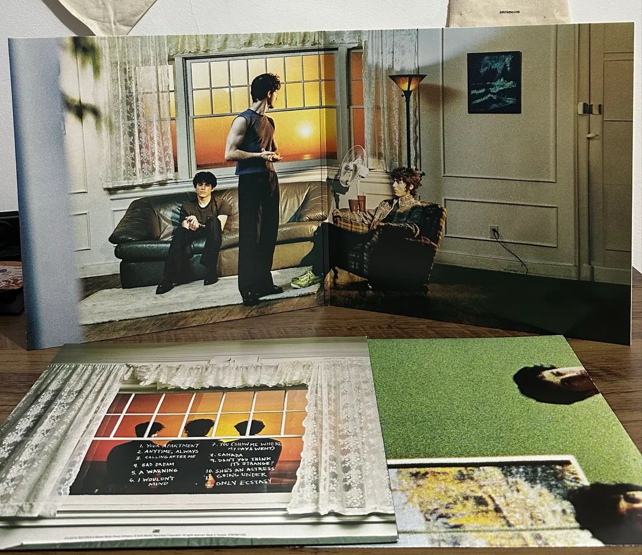 Wallows - Model (White With Sunset Labels) [Disco de Vinil] - Foto 4