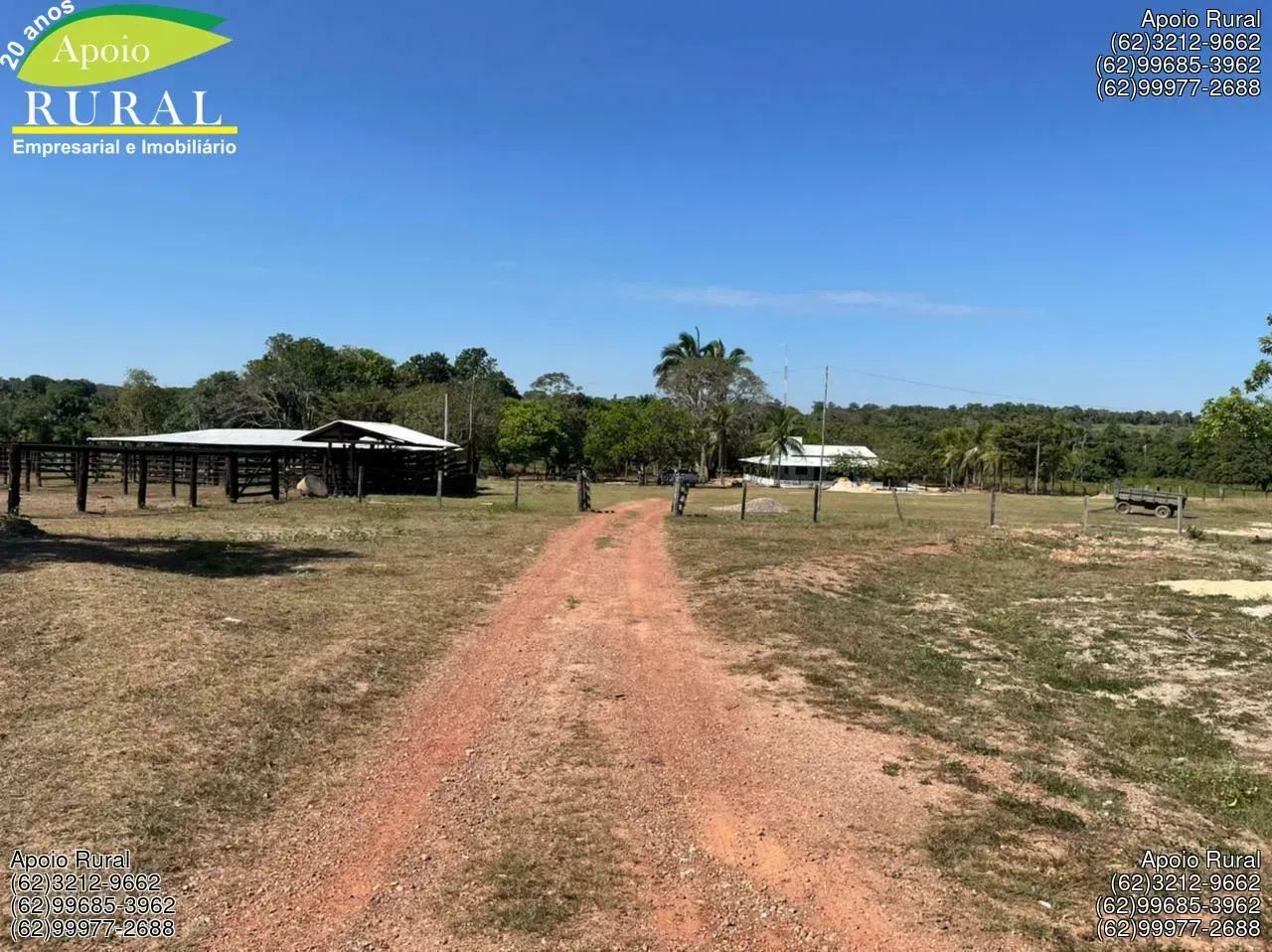 Fazenda de 267 alqueires no  Vale do Araguaia - Foto 3