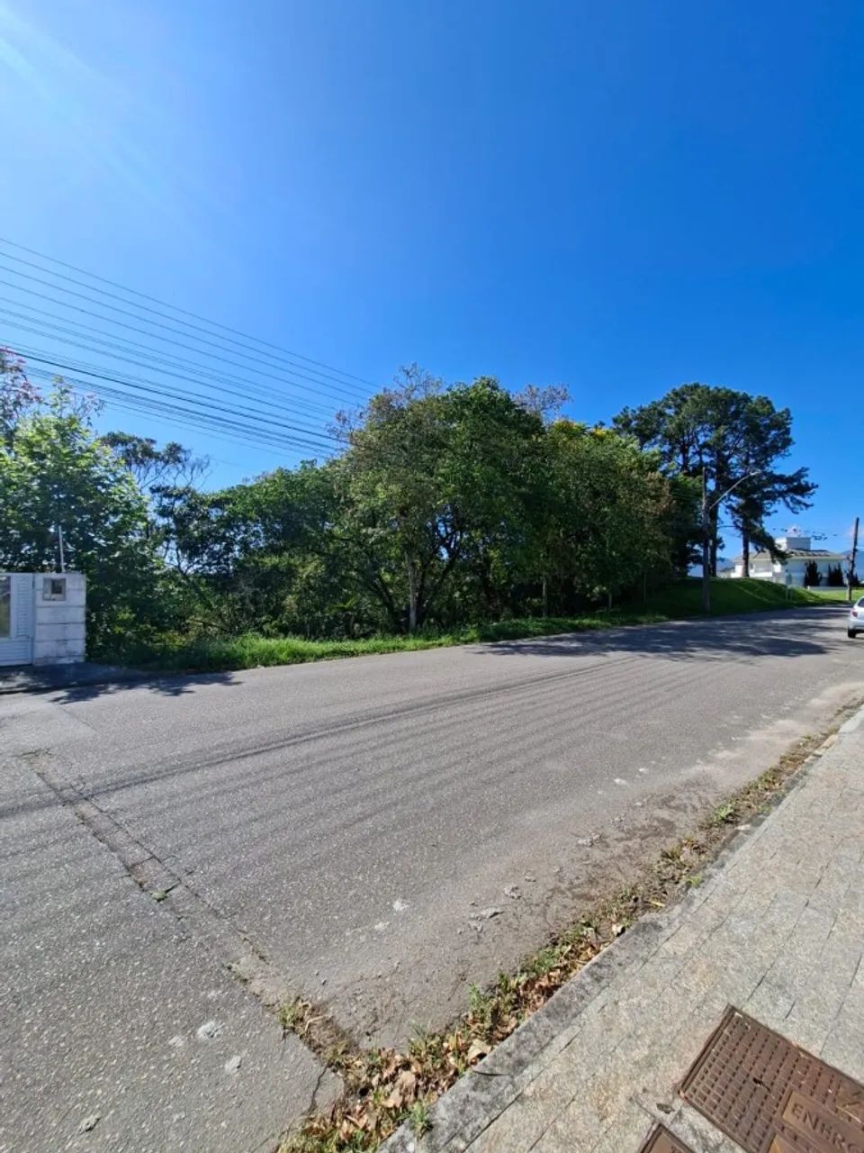 Terreno para Venda em Palhoça, Pedra Branca - Foto 3