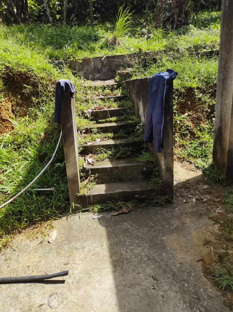 Excelente Sítio na beira da estrada ilhéus Itabuna  - Foto 3
