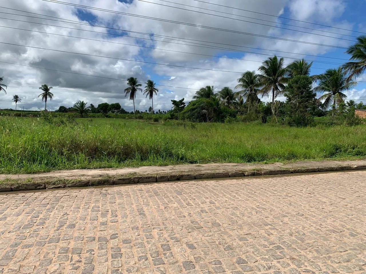 Terreno bom para chácara ou casa  - Foto 2