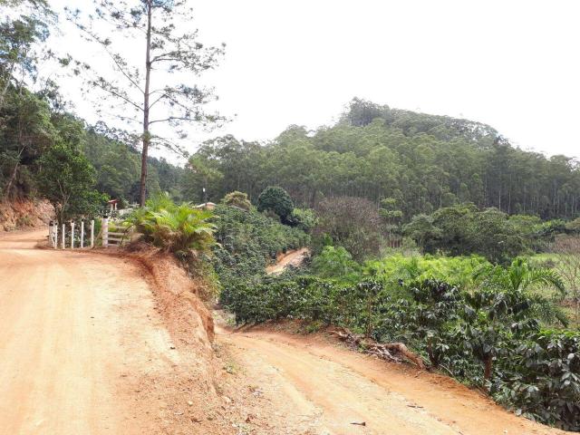 Fazenda com 15 Hectares (150 mil metros) em João Neiva - Foto 3