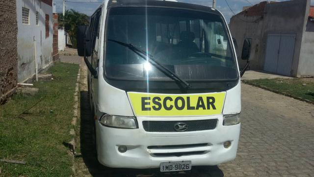 Micro vilare