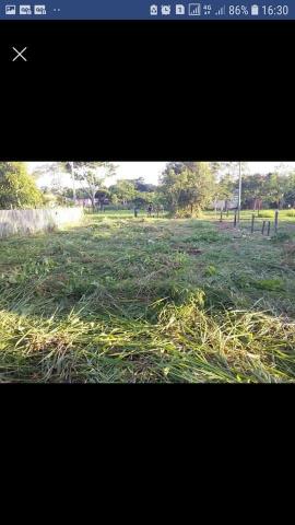 Vendo ou troco terreno no belo jardim 1 - Foto 2