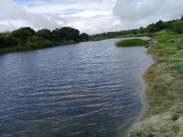 Excelente propriedade de 340 tarefas de terras margeando o rio Sacraiú - Foto 5