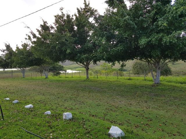 Bela fazendinha às margens da represa " Pedra do Cavalo" com casa boa - Foto 4