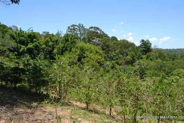 Chácara com 10.000 m² em Mogi das Cruzes - Foto 15