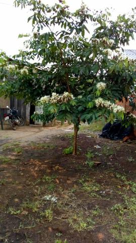 Duas casa em um terreno leia a baixo - Foto 3