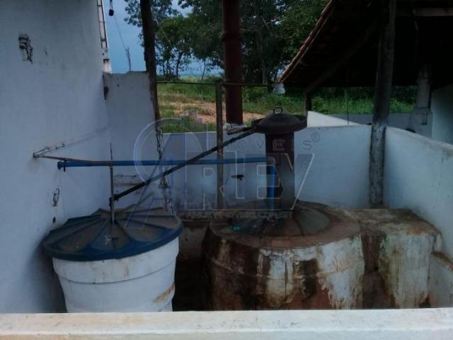 Fazenda/com um projeto que da valorização as terras - Foto 7