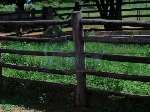 Fazenda/com um projeto que da valorização as terras - Foto 18
