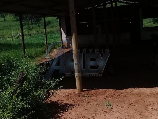 Fazenda/com um projeto que da valorização as terras - Foto 8