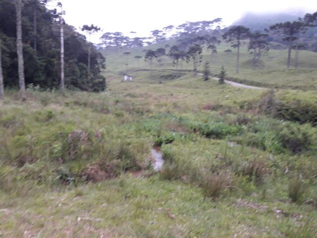 Sitio em Urubici/chácara rural em Urubici/área rural - Foto 7