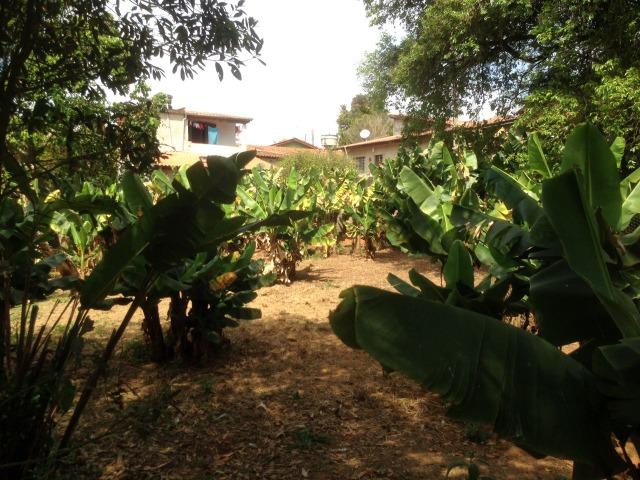 Bragança Pta 6000 m² Bairro Água Comprida Cód. BAC-1 - Foto 12