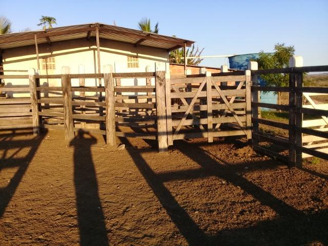 Lindíssima Fazendinha na região rural de Antonio Cardoso Bahia - Foto 12