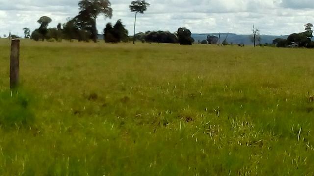 Fazenda em rio branco mt - Foto 4