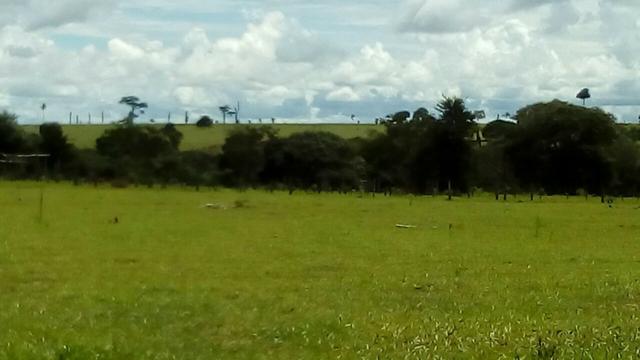 Fazenda em rio branco mt - Foto 3
