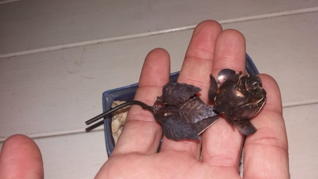 Rosa souvenir espessurado em prata hotel Terraço Italia - Foto 3