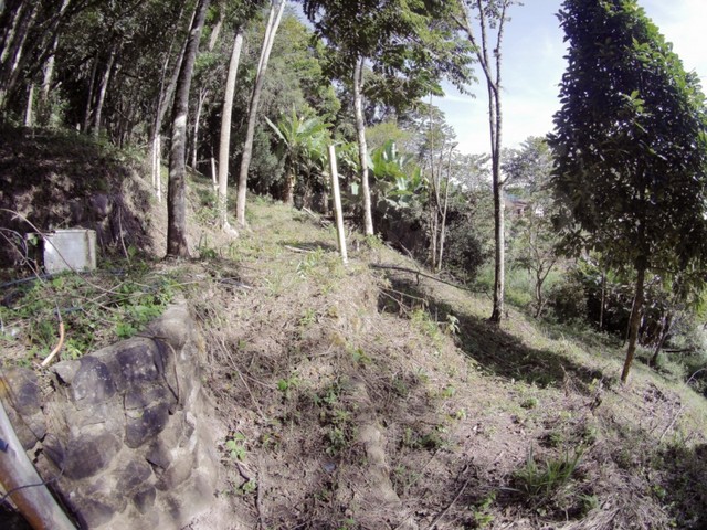 Terreno escriturado no Bairro da Velha, com 645,00 m² de área total, fazendo frente em 15, - Foto 4