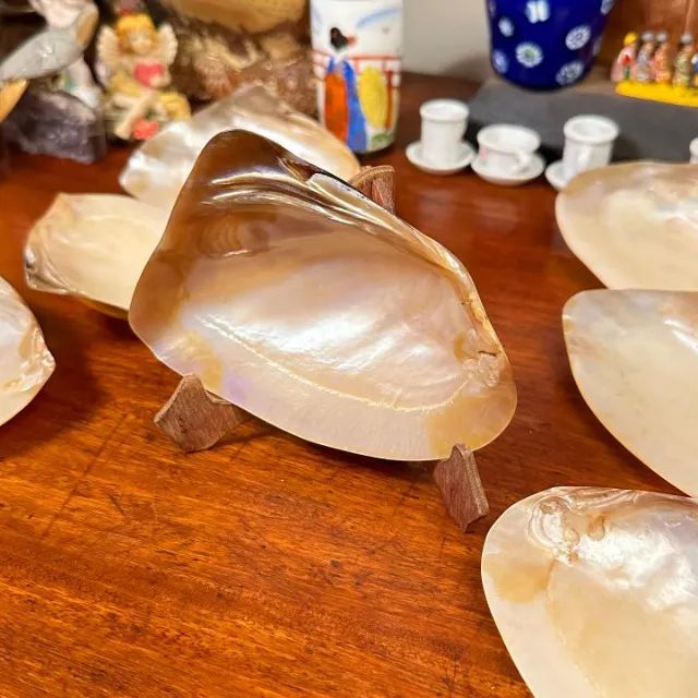 Conjunto com 07 conchas em madrepérola para caviar. - Foto 5