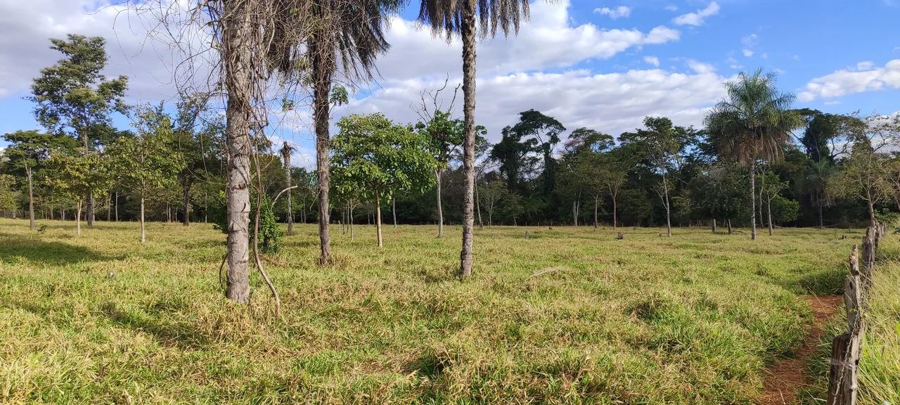 Chácara em Avelinópolis  - Foto 2
