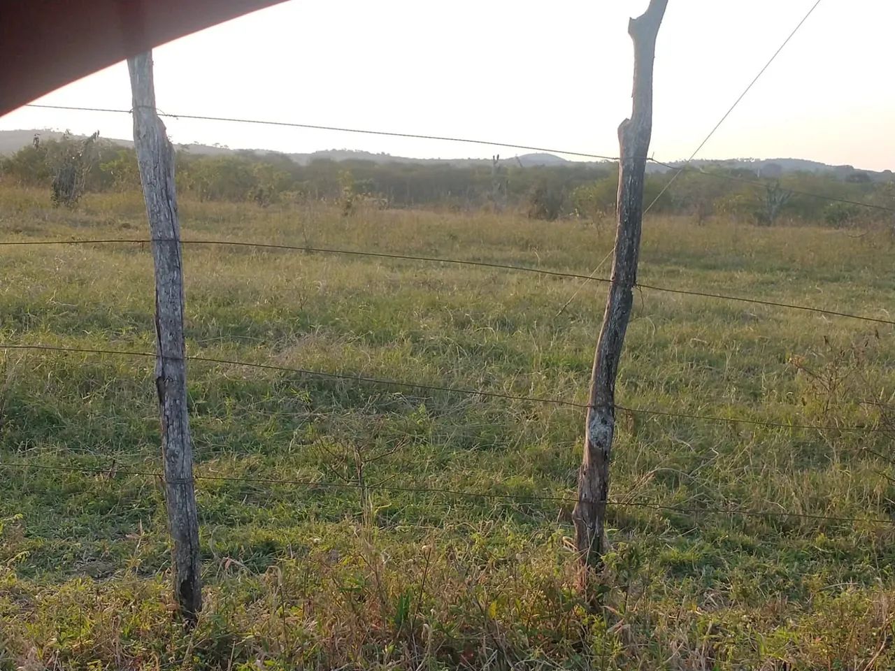 Fazenda em Baixa Grande  - Foto 4