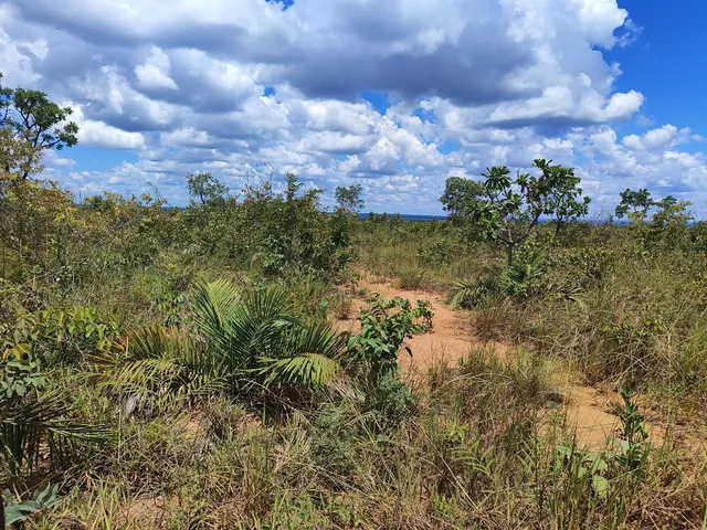 Vendo fazenda de 6500 ha no Piauí pertinho da bahia