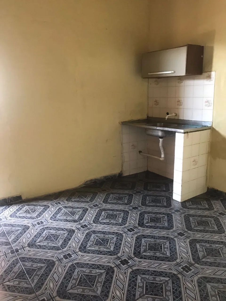 Foto - Manaus - Raiz