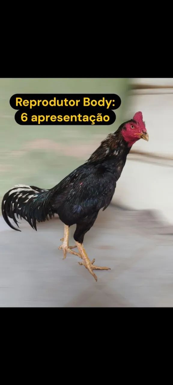Frango carioca  - Foto 2