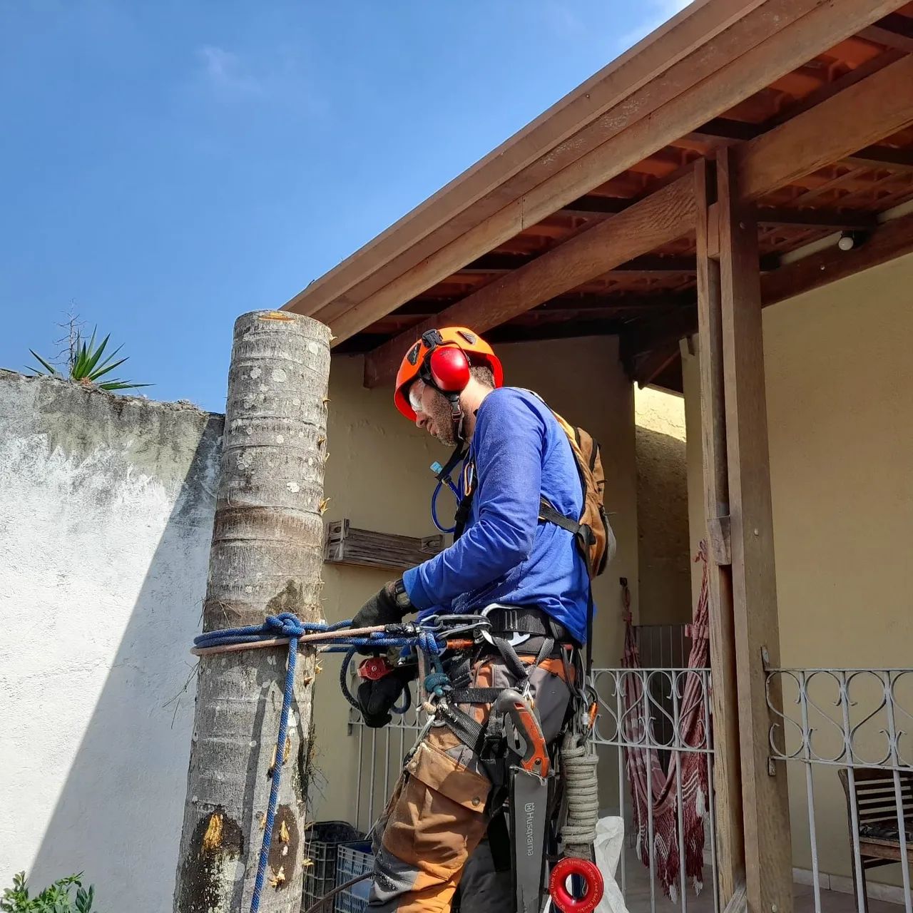 Podas e remoção de árvores - Rápido e sem dor de cabeça! - Foto 4