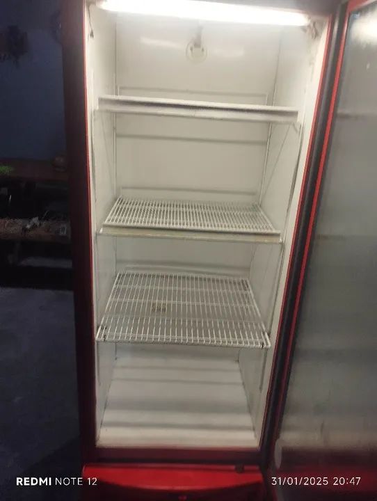 Expositor Fricon 450 litros ENTREGO  - Foto 3
