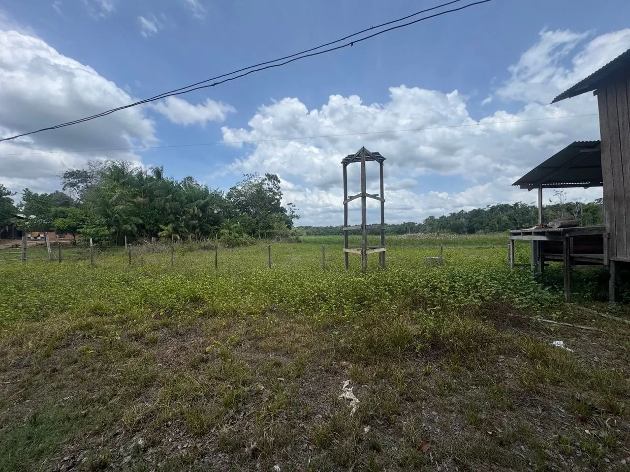 Fazenda para criação de Búfalos a 40km de Macapá - Foto 4
