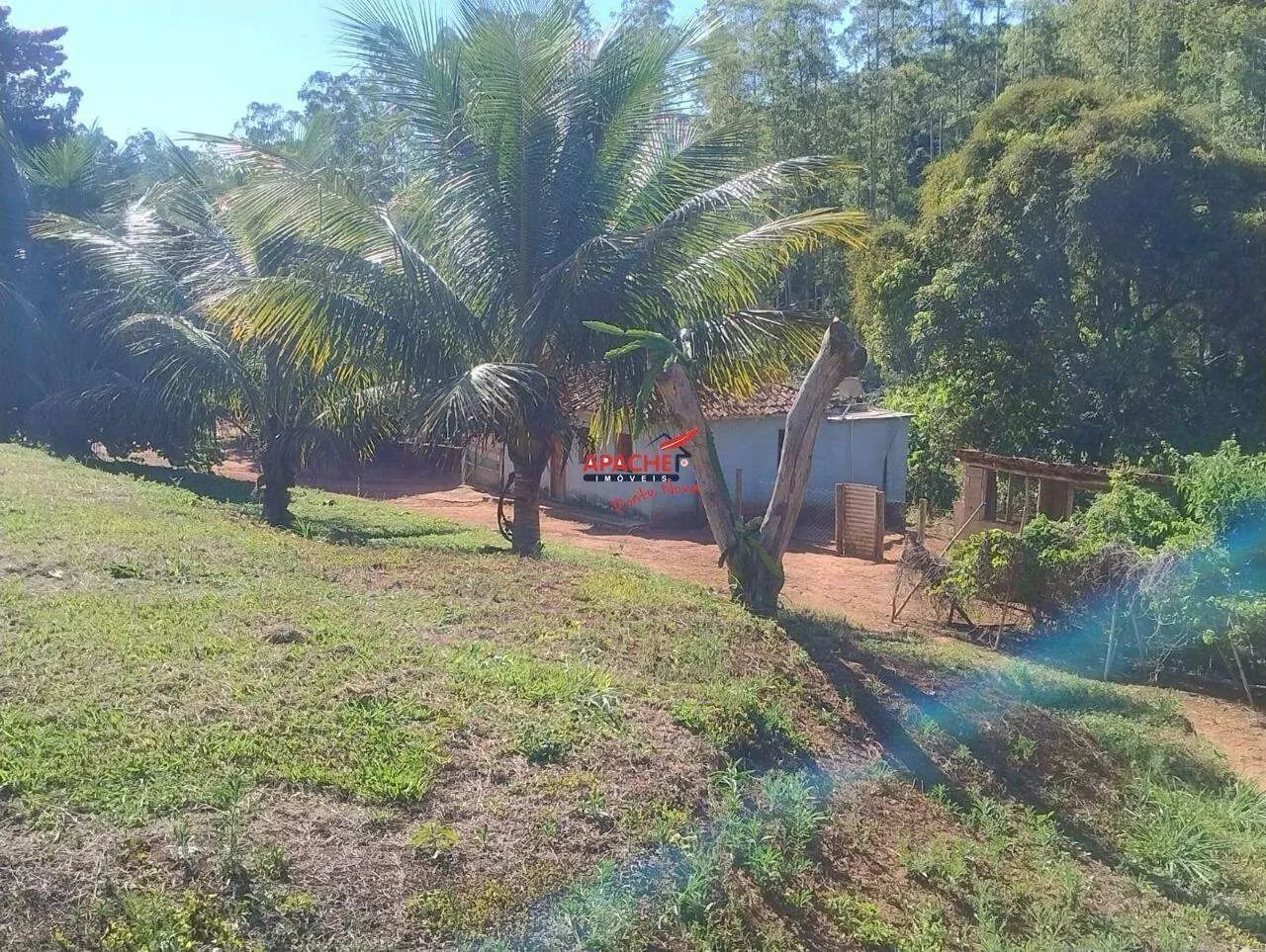 Sítio à venda, Guaraciaba - Guaraciaba/MG - Foto 2