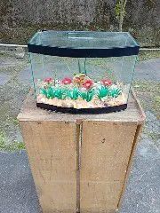 Aquario.25x18x15