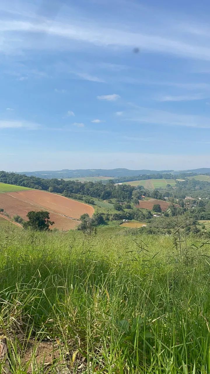 Imóvel para venda possui 500 metros quadrados em Cachoeira - Ibiúna - SP - Foto 3
