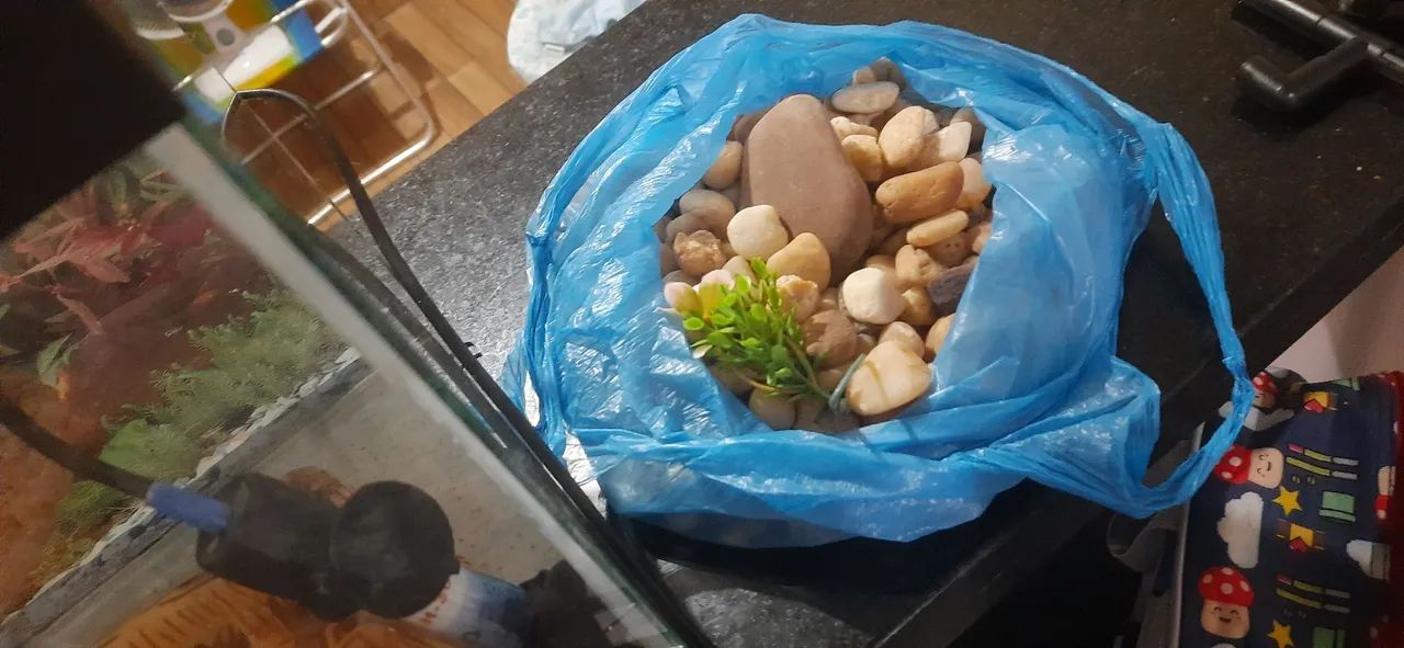 Aquário completo com acessórios - Foto 5