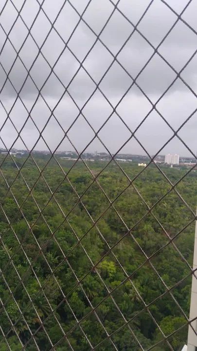 REDE DE PROTEÇÃO E SEGURANÇA 