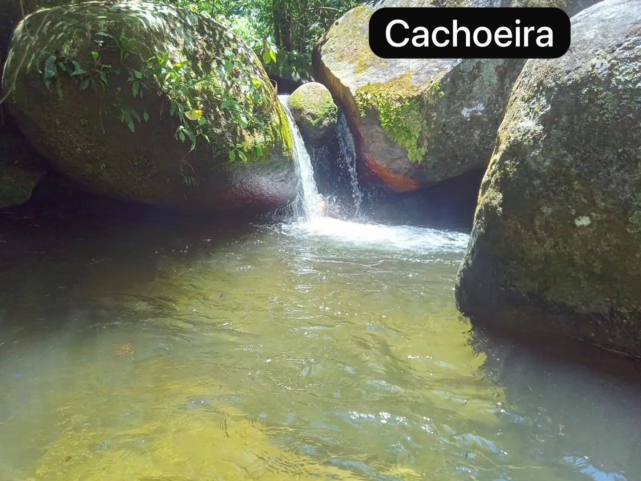 Carnaval na Barra Olímpica - Foto 2