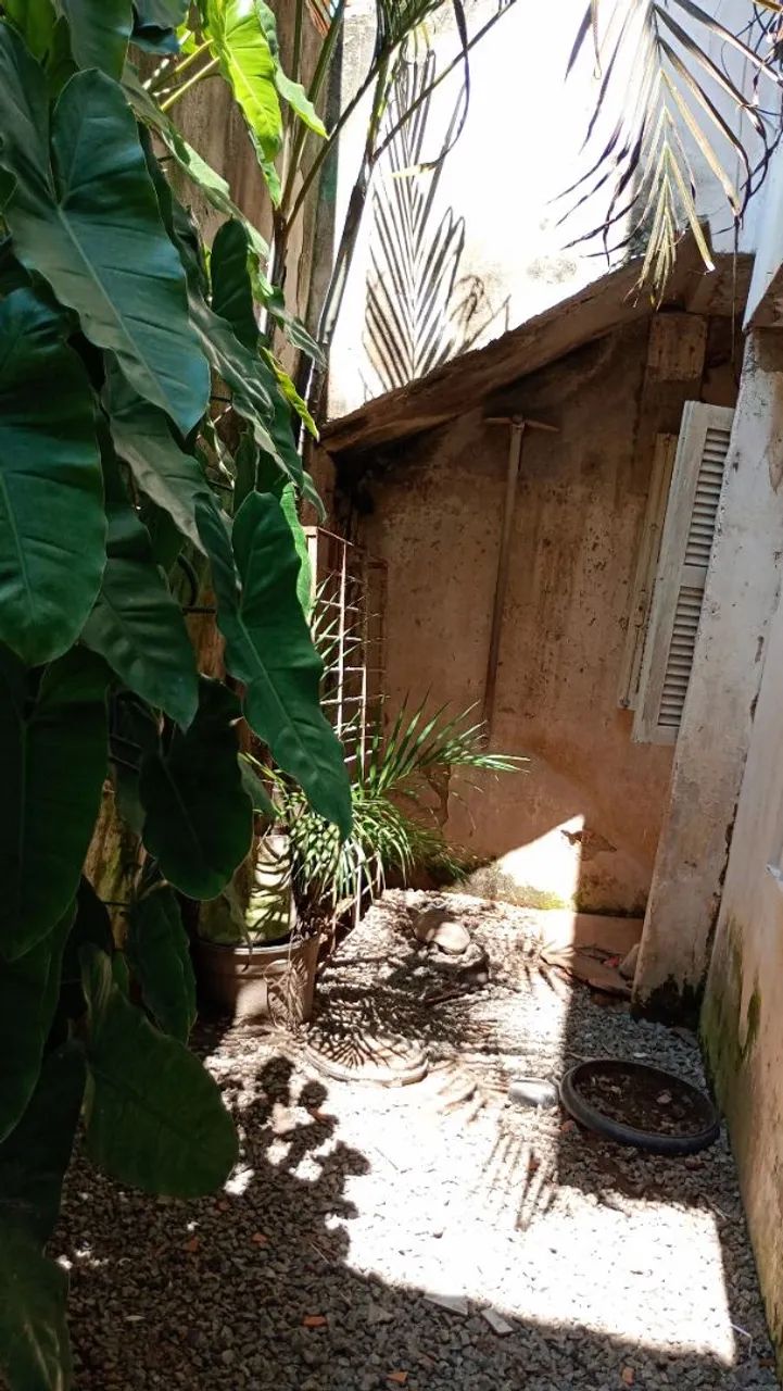 Foto - São Paulo - Jardim Castro Alves