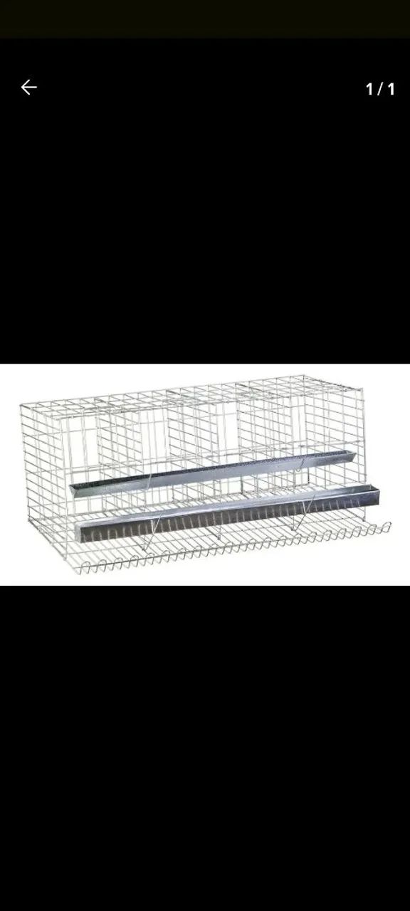 Used Laying Hen Cage63824580453507120